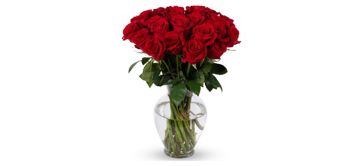 Best Benchmark Bouquets Two Dozen Red Roses with Vase Best Benchmark Bouquets Two Dozen Red Roses with Vase