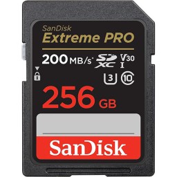 SanDisk