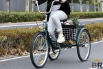 Best Adult Tricycles