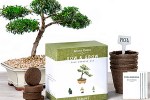Bonsai Starter Kits