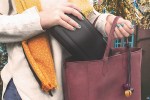 nintendo switch travel cases