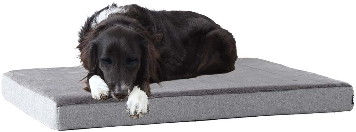 BarkBox Memory Foam Platform Dog Bed