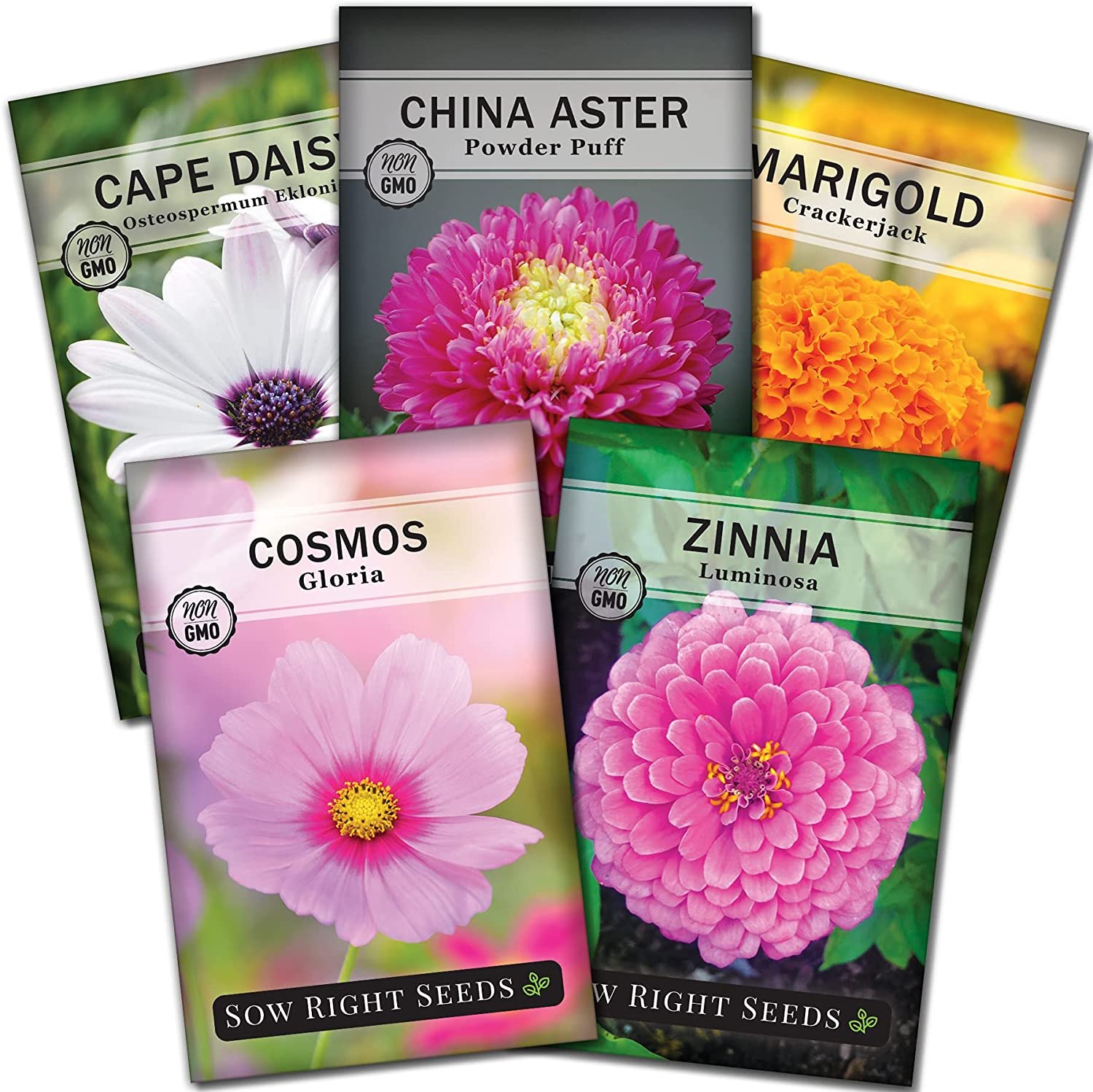 Sow Right Seeds Flower Seed Garden Collection for Planting