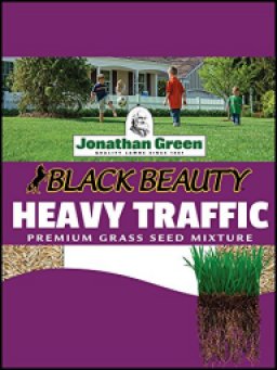 Jonathan Green