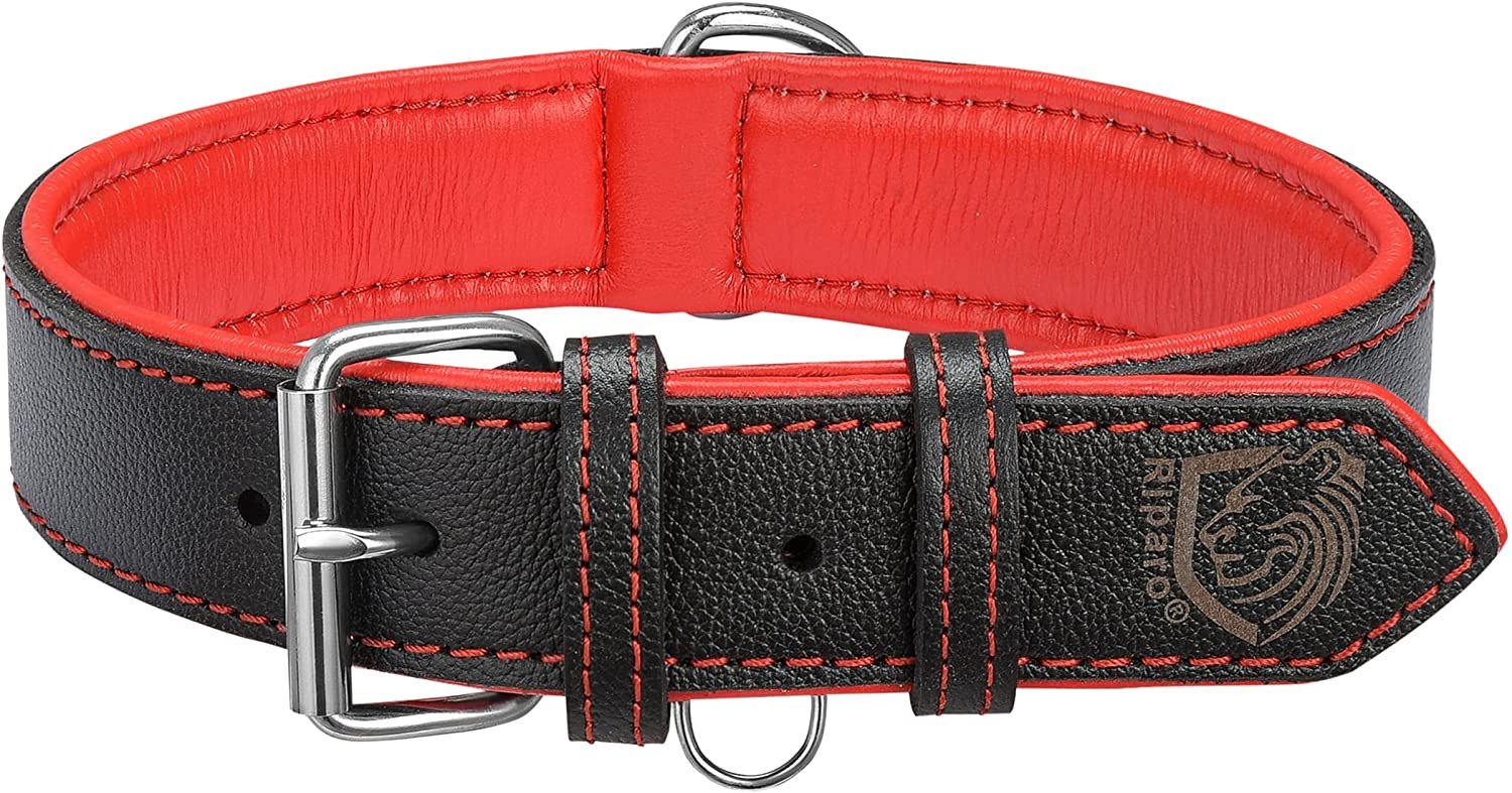 Riparo Genuine Leather Padded Dog Collar