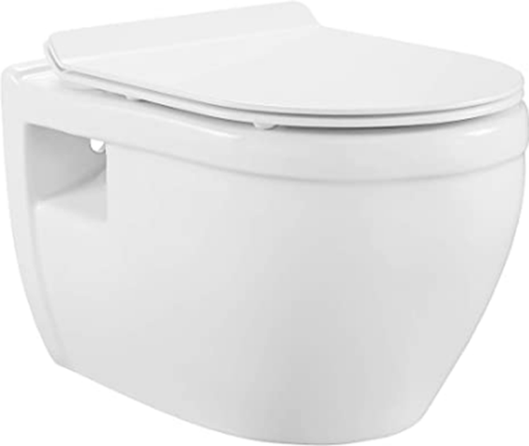 Swiss Madison Well Made Forever Ivy Wall-Hung Toilet